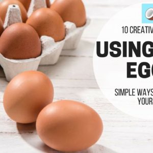 10 Creative Recipes Using Eggs