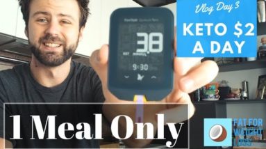 Keto On $2 A Day | Vlog Day 4 - 1 Meal Only