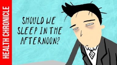 Should We Sleep in The Afternoon ?