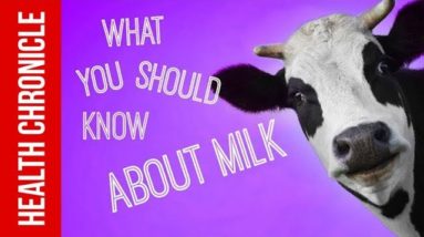 What You Should Know About Milk And Dairy