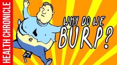 Why Do We Burp? What Makes Us BURP and HOW TO CONTROL IT FAST!