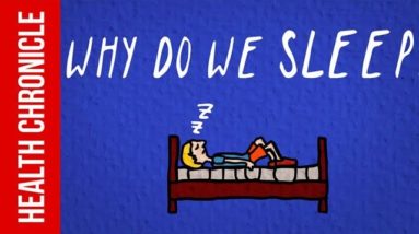 Why Do We Need To Sleep ?