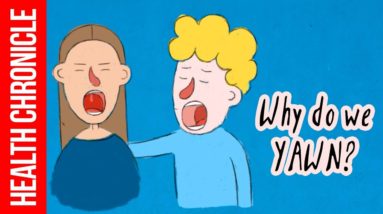 Why is Yawning Contagious ?