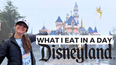 What I Eat in A Day: DISNEYLAND